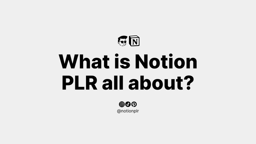 What is Notion PLR all about?